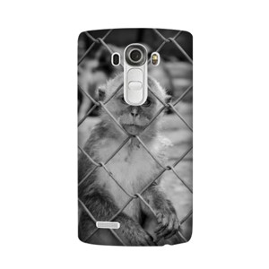 CASING SMARTPHONE , IOS, ANDROID, ANIMAL Casing HP