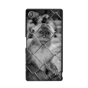 CASING SMARTPHONE , IOS, ANDROID, ANIMAL Casing HP