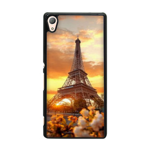 Paris 1 Casing HP