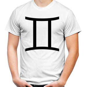 Kaos Gemini
