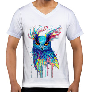Kaos  Owl Bird