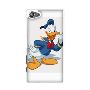 Donald Duck Casing HP