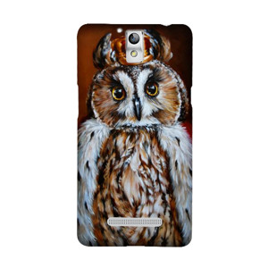 Owl the King Casing HP