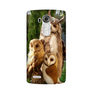 Hewan 2 Casing HP