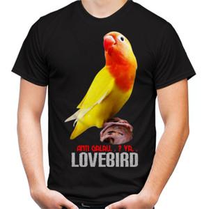 Kaos Lovebird