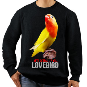 Jaket Sweater Lovebird