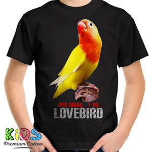 Kaos Lovebird