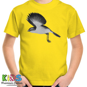 Kaos burung albania