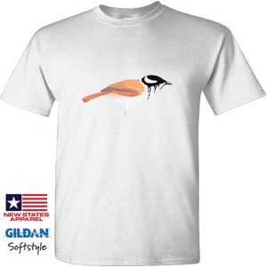 Kaos Birdz Series #7