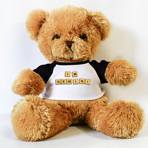 Boneka Beruang I'M GEMINI