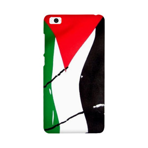 Palestine Casing HP