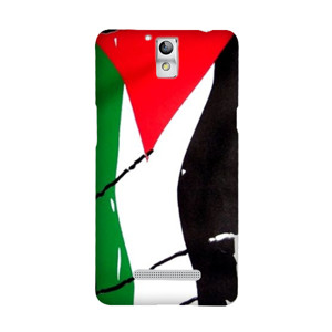 Palestine Casing HP