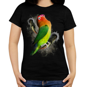 Kaos Lovebird