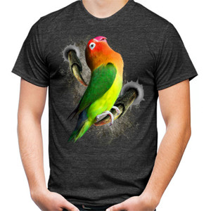Kaos Lovebird