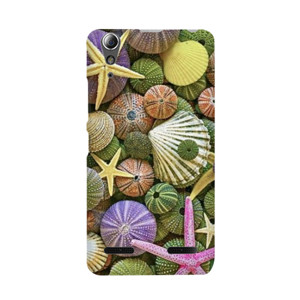 Sea Treasures Casing HP
