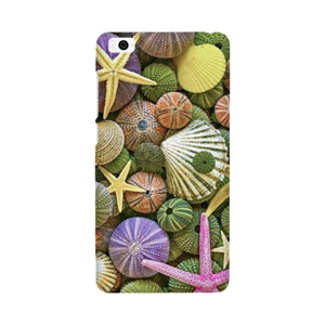 Sea Treasures Casing HP