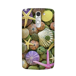 Sea Treasures Casing HP