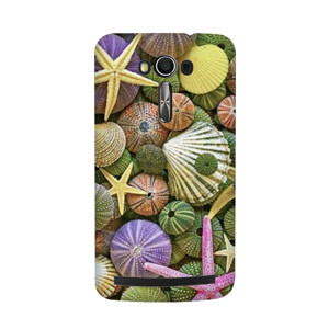 Sea Treasures Casing HP