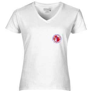 Kaos BAJU KAOS HUT RSDH