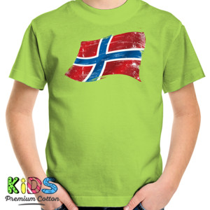 Kaos Norway Grunge Flags