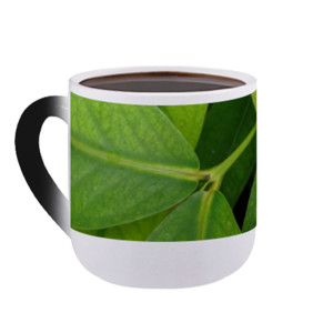 Mug Bunglon Tanaman Daun Hijau