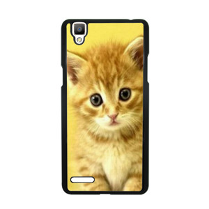 PUSSY CAT#1 Casing HP