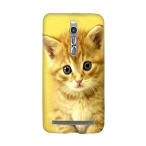 PUSSY CAT#1 Casing HP