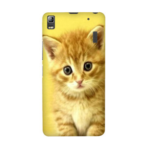 PUSSY CAT#1 Casing HP