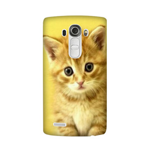 PUSSY CAT#1 Casing HP