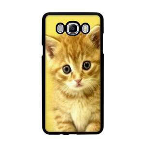 PUSSY CAT#1 Casing HP