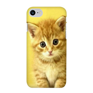 PUSSY CAT#1 Casing HP