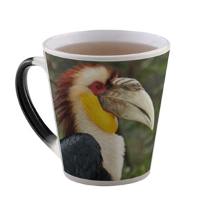 Mug HORNBILL 