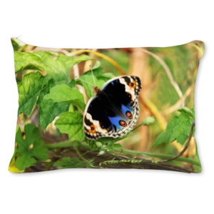 Bantal Kupu-kupu Biru Hitam