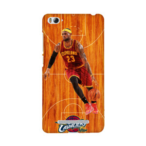 james lebron Casing HP