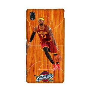 james lebron Casing HP