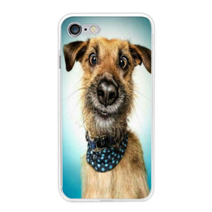 Samsung Galaxy Note  Casing HP