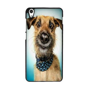 Samsung Galaxy Note  Casing HP