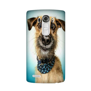 Samsung Galaxy Note  Casing HP