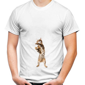 Kaos Funny Cat 3