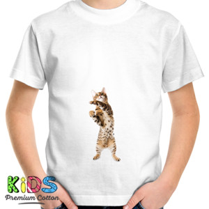 Kaos Funny Cat 3