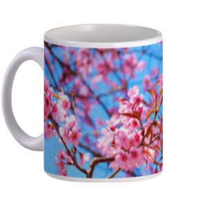 Mug mug sakura