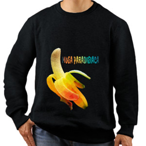 Jaket Sweater MUSA PARADISIACA