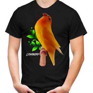 Kaos Lovebird