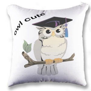 Bantal owl cute