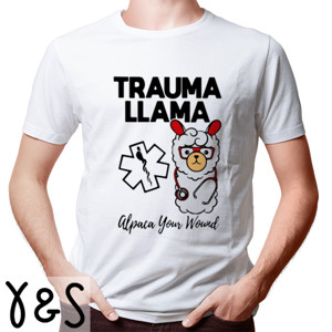Kaos Trauma Llm Alpaca Your Wound Media Logo 1