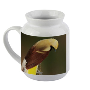 Mug Lesser Bird of Paradise