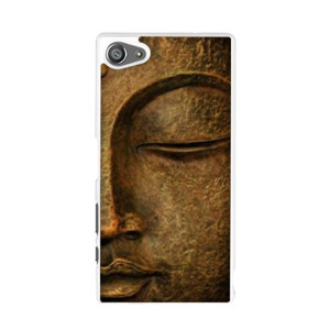 Budha Garskin Casing HP