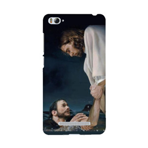 Jesus Rescues Peter Casing HP