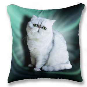 Bantal BANTAL SOFA KUCING LUCU 01