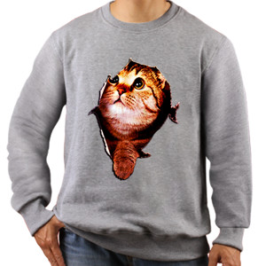 Jaket Sweater Belo Cat